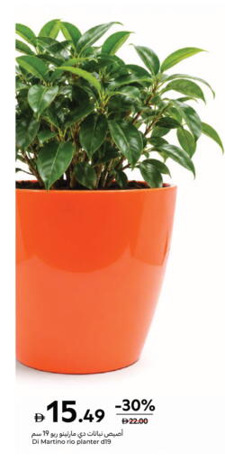 available at Carrefour UAE in UAE - Al Ain