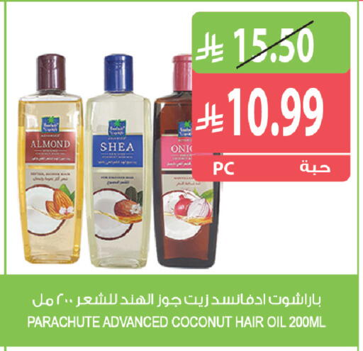 Coconut متوفر لدى المزرعة في مملكة العربية السعودية, السعودية, سعودية - ينبع