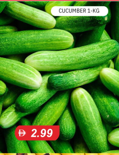 Cucumber available at TALAL MARKET in UAE - Sharjah / Ajman