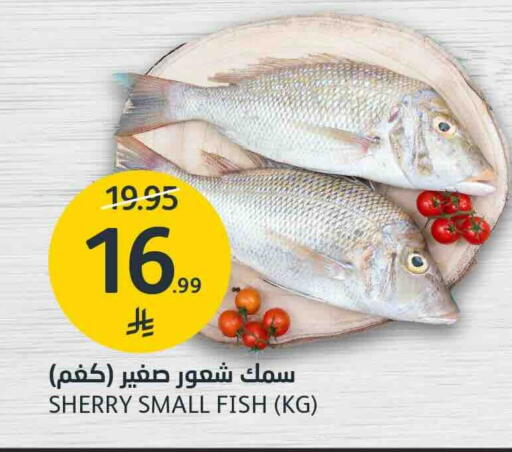 available at AlJazera Shopping Center in KSA, Saudi Arabia, Saudi - Riyadh