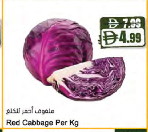 Cabbage متوفر لدى المايا سوبرماركت في الإمارات العربية المتحدة , الامارات - الشارقة / عجمان