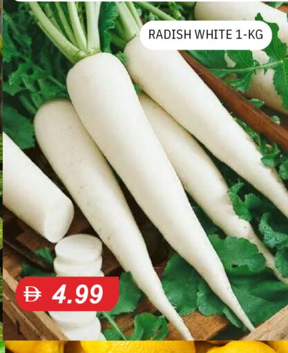 Radish available at TALAL MARKET in UAE - Sharjah / Ajman