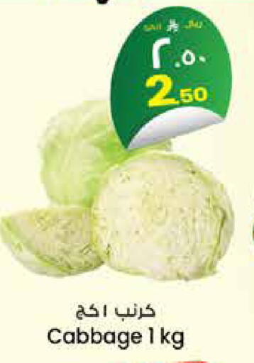 Cabbage متوفر لدى ستي فلاور في مملكة العربية السعودية, السعودية, سعودية - حائل‎