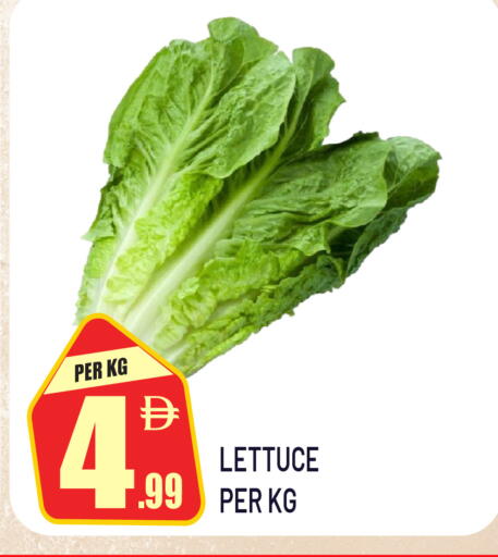 Lettuce available at Dream Land in UAE - Dubai