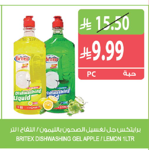 Apple Lemon متوفر لدى المزرعة في مملكة العربية السعودية, السعودية, سعودية - نجران
