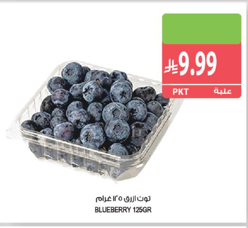 Blueberry BlueBerry available at Farm  in KSA, Saudi Arabia, Saudi - Al Bahah