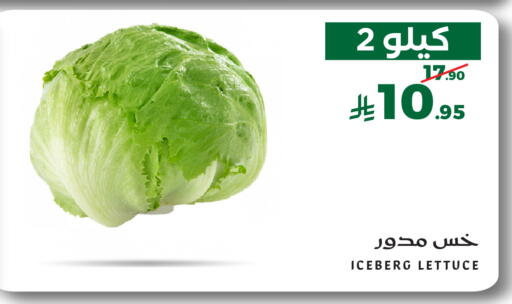 Lettuce available at Mira Mart Mall in KSA, Saudi Arabia, Saudi - Jeddah