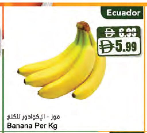 Banana from Ecuador available at Almaya Supermarkets in UAE - Dubai