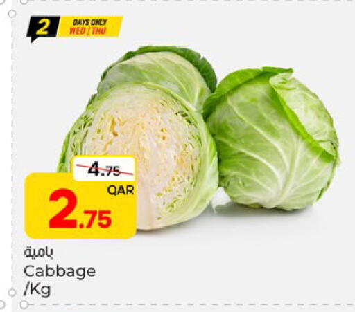 Cabbage متوفر لدى باريس هايبرماركت في قطر - الشحانية