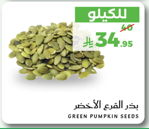 Pumpkin متوفر لدى ميرا مارت مول في مملكة العربية السعودية, السعودية, سعودية - جدة
