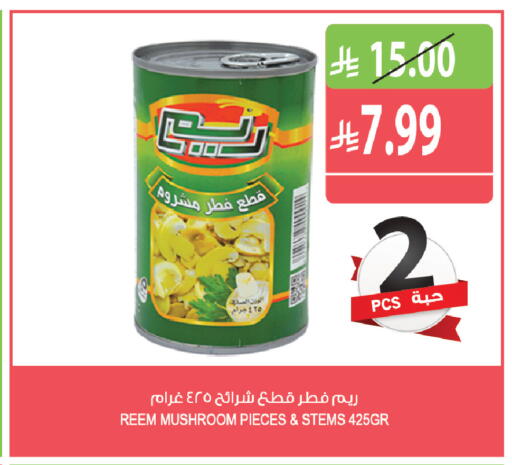 Mushroom متوفر لدى المزرعة في مملكة العربية السعودية, السعودية, سعودية - الجبيل‎
