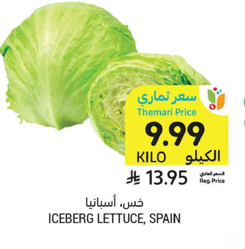 Lettuce from Spain available at Tamimi Market in KSA, Saudi Arabia, Saudi - Medina
