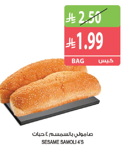 Sesame available at Farm  in KSA, Saudi Arabia, Saudi - Jazan