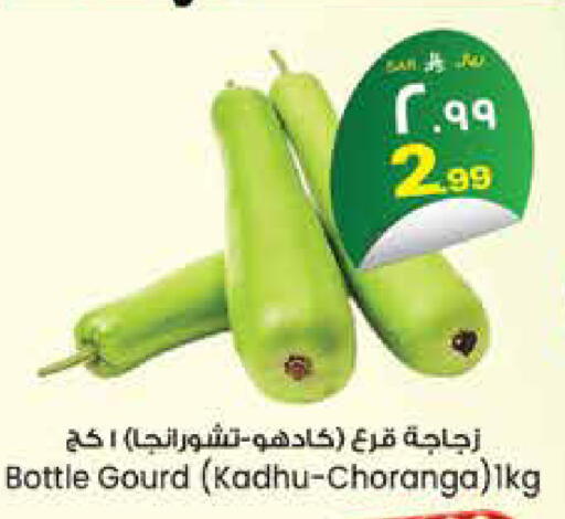 available at City Flower in KSA, Saudi Arabia, Saudi - Sakaka