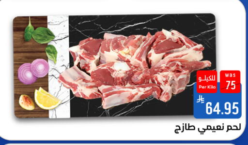 متوفر لدى شبرا الطائف في مملكة العربية السعودية, السعودية, سعودية - مكة المكرمة