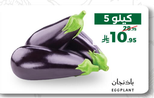 Eggplant متوفر لدى ميرا مارت مول في مملكة العربية السعودية, السعودية, سعودية - جدة