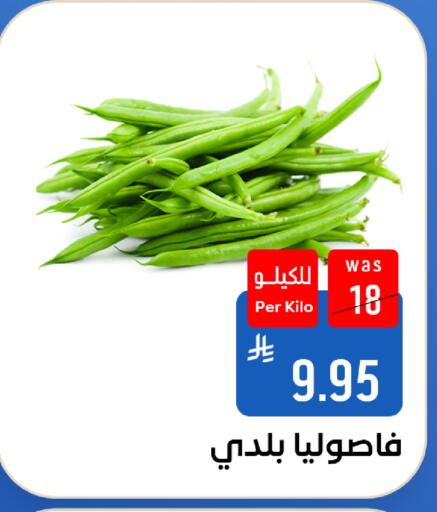 متوفر لدى شبرا الطائف في مملكة العربية السعودية, السعودية, سعودية - الطائف