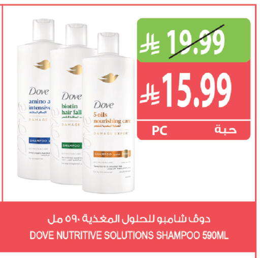 متوفر لدى المزرعة في مملكة العربية السعودية, السعودية, سعودية - الخرج