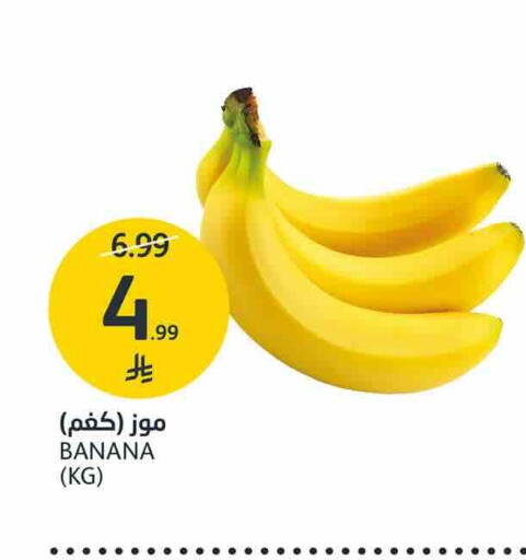 Banana available at AlJazera Shopping Center in KSA, Saudi Arabia, Saudi - Riyadh