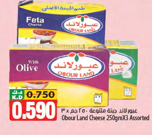 Mango متوفر لدى مانجو هايبرماركت في الكويت - مدينة الكويت