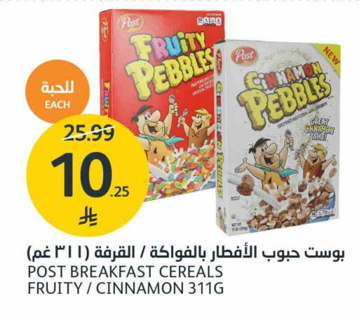 Cinnamon available at AlJazera Shopping Center in KSA, Saudi Arabia, Saudi - Riyadh