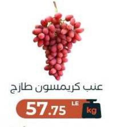 متوفر لدى عرفة ماركت في البحرين
