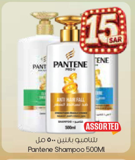 available at City Flower in KSA, Saudi Arabia, Saudi - Sakaka