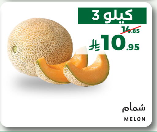 Melon متوفر لدى ميرا مارت مول في مملكة العربية السعودية, السعودية, سعودية - جدة