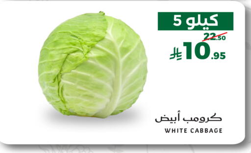 Cabbage available at Mira Mart Mall in KSA, Saudi Arabia, Saudi - Jeddah