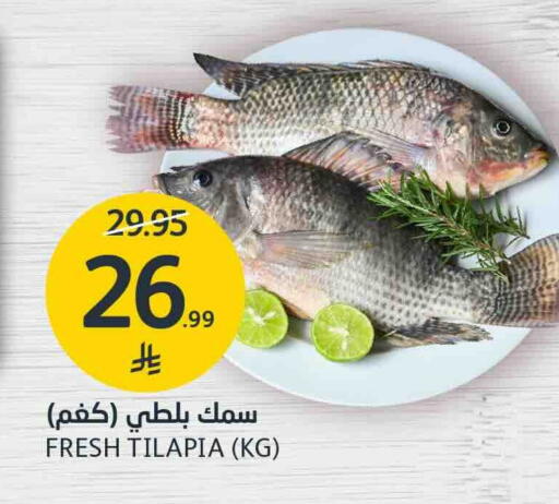 متوفر لدى أسواق الجزيرة في مملكة العربية السعودية, السعودية, سعودية - الرياض