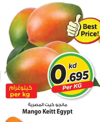 Mango من Egypt متوفر لدى مارك & سايف في الكويت - محافظة الأحمدي