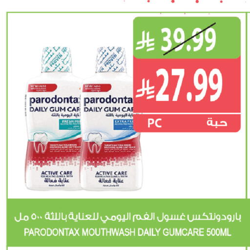 متوفر لدى المزرعة في مملكة العربية السعودية, السعودية, سعودية - تبوك