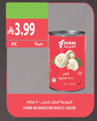 Mushroom متوفر لدى المزرعة في مملكة العربية السعودية, السعودية, سعودية - نجران