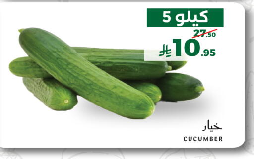 Cucumber متوفر لدى ميرا مارت مول في مملكة العربية السعودية, السعودية, سعودية - جدة