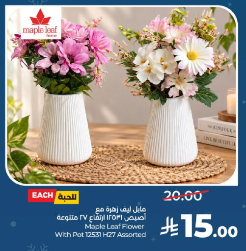 available at LULU Hypermarket in KSA, Saudi Arabia, Saudi - Unayzah