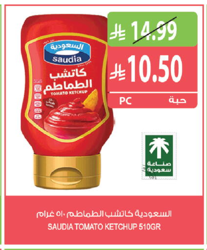 Tomato available at Farm  in KSA, Saudi Arabia, Saudi - Tabuk