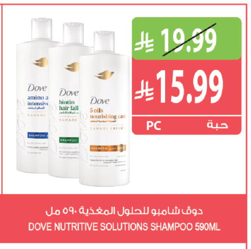 متوفر لدى المزرعة في مملكة العربية السعودية, السعودية, سعودية - ينبع