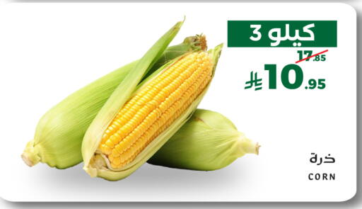 متوفر لدى ميرا مارت مول في مملكة العربية السعودية, السعودية, سعودية - جدة