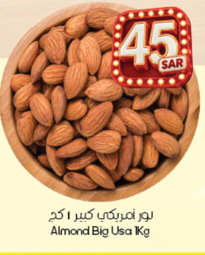 متوفر لدى ستي فلاور في مملكة العربية السعودية, السعودية, سعودية - عرعر
