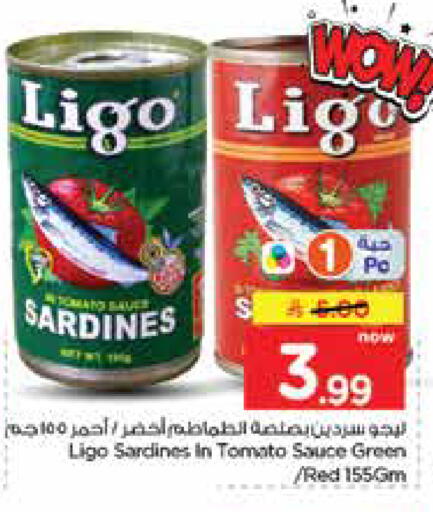 Tomato available at Nesto in KSA, Saudi Arabia, Saudi - Jubail