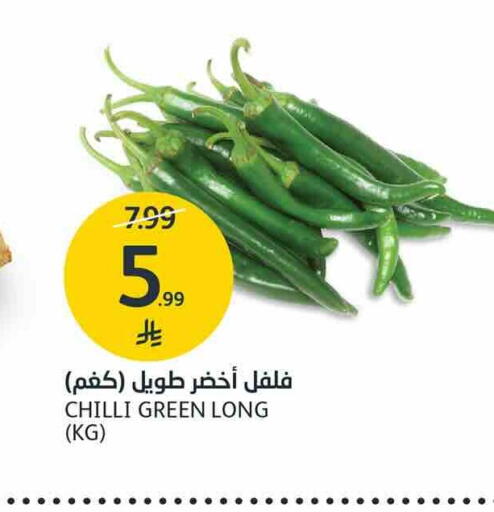 Chilli available at AlJazera Shopping Center in KSA, Saudi Arabia, Saudi - Riyadh