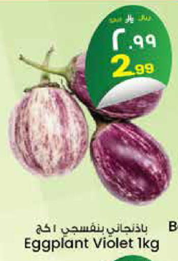Eggplant متوفر لدى ستي فلاور في مملكة العربية السعودية, السعودية, سعودية - حائل‎