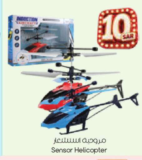 available at City Flower in KSA, Saudi Arabia, Saudi - Sakaka