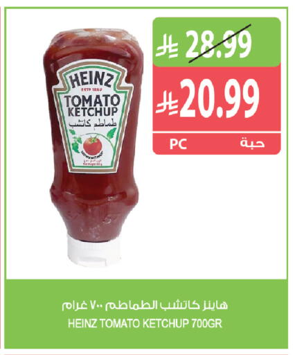 Tomato متوفر لدى المزرعة في مملكة العربية السعودية, السعودية, سعودية - الجبيل‎