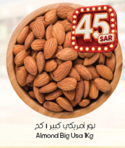available at City Flower in KSA, Saudi Arabia, Saudi - Khafji