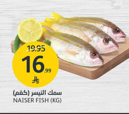 متوفر لدى أسواق الجزيرة في مملكة العربية السعودية, السعودية, سعودية - الرياض