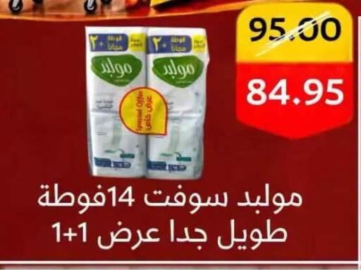 available at BIM Market  in Egypt - Cairo