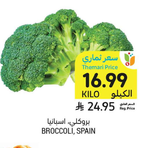 Broccoli from Spain available at Tamimi Market in KSA, Saudi Arabia, Saudi - Medina