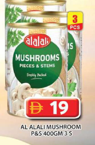 Mushroom متوفر لدى جراند هايبر ماركت في الإمارات العربية المتحدة , الامارات - أبو ظبي