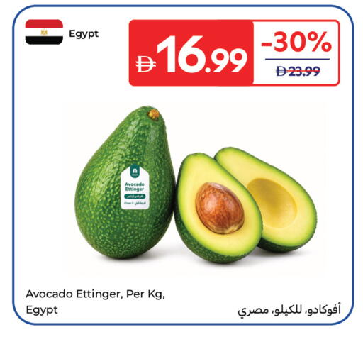 Avocado من Egypt متوفر لدى كارفور في الإمارات العربية المتحدة , الامارات - دبي